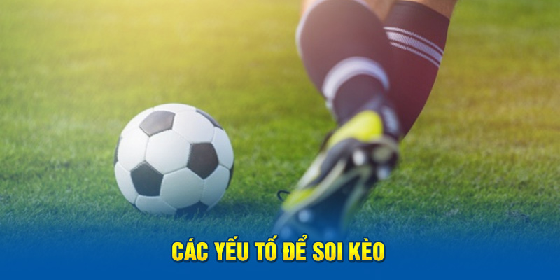 Các yếu tố để soi kèo