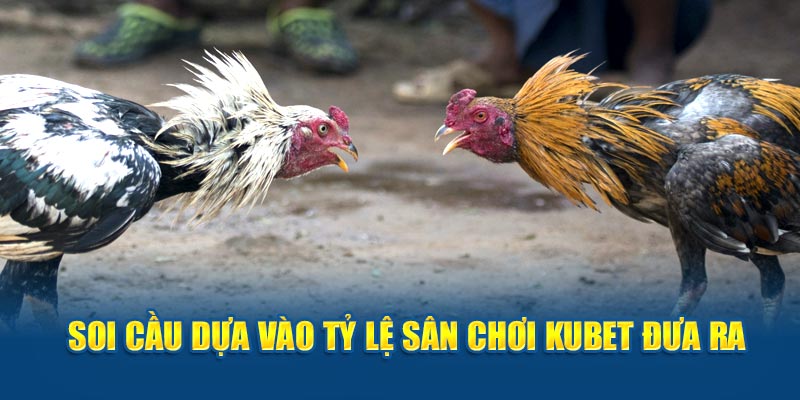 Soi cầu dựa theo tình hình sức khỏe của chiến kê